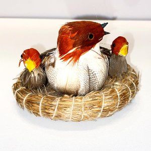 Bird in Nest Display Babies and Mother Feathers Decor Nature Wildlife Ornament